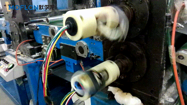 �����C���h